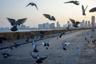 Pigeons fly at Tel Aviv's empty promenade during a three-week nationwide lockdown due to the coronavirus pandemic, in Tel Aviv, Israel, Sunday, Sept 20, 2020. Israel went back into a full lockdown to try to contain a coronavirus outbreak that has steadily worsened for months as its government has been plagued by indecision and infighting. (AP Photo/Oded Balilty)