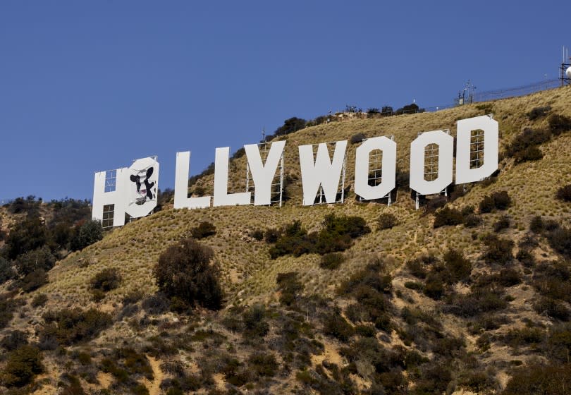 A photo showing the "Holy Cow" sign that was placed on the Hollywood Sign in Los Angeles. Credit: Adam Kargenian