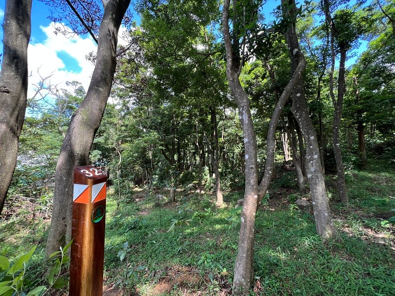 郊野公園定向路線的控制點，以固定的木柱標示。