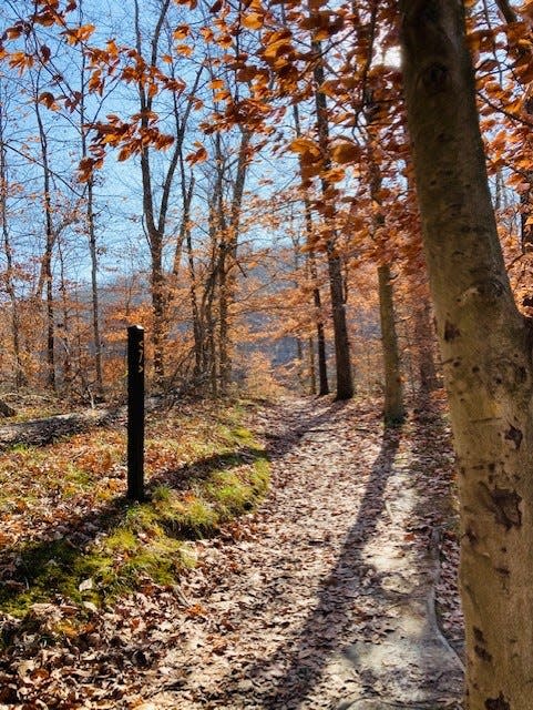 Ogle lake trail