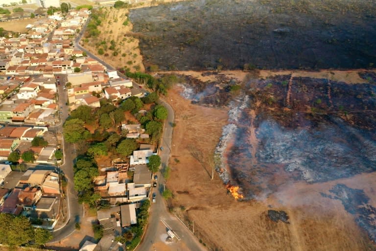 Vue aérienne d'un incendie de forêt dans le parc national de Brasilia, au Brésil, le 15 septembre 2024 (EVARISTO SA)