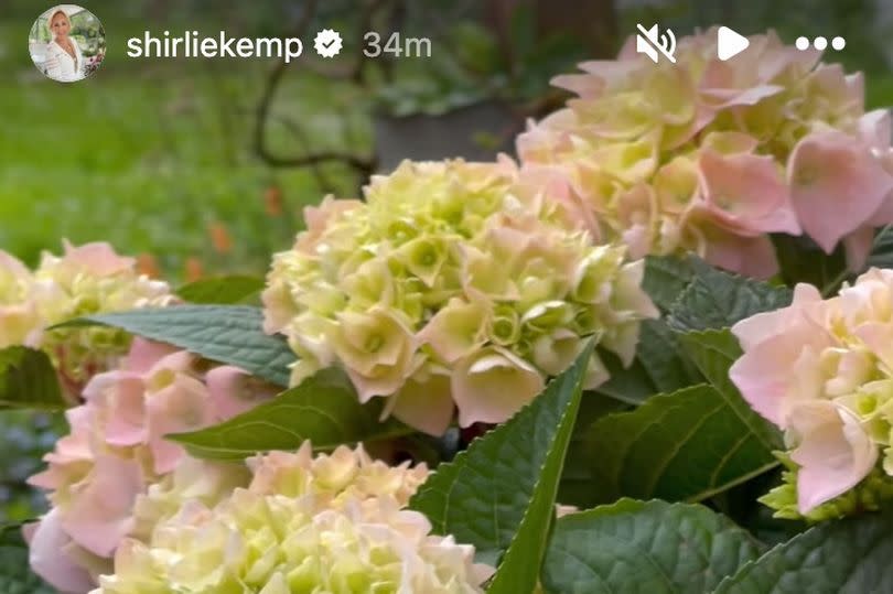 Shirlie shared a video of the plants in her garden