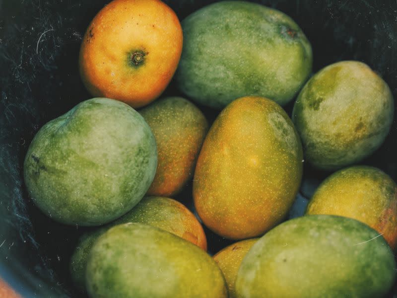 ▲芒果買回家後如何保存？農糧署也表示「芒果不急著冰冰箱，放在陰涼處等待後熟」。（示意圖／取自unsplash）