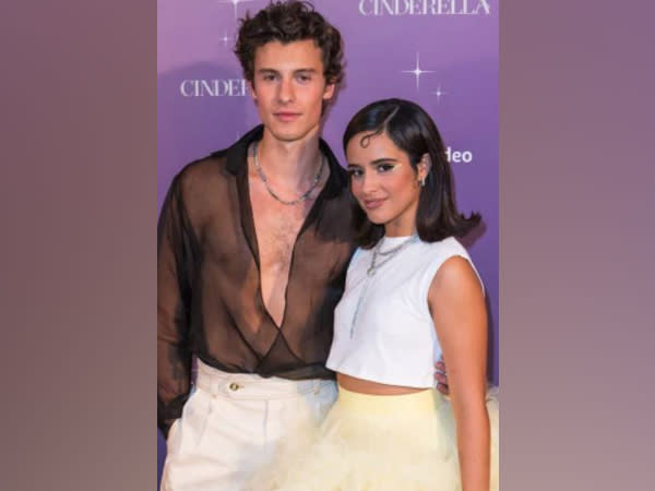 Shawn Mendes, Camila Cabello (Image source: Instagram)