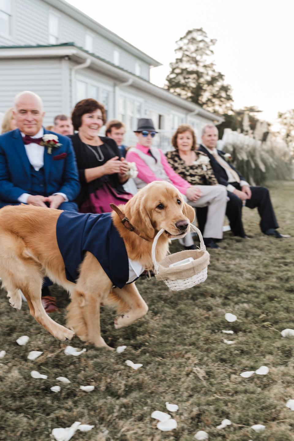 dog wedding party
