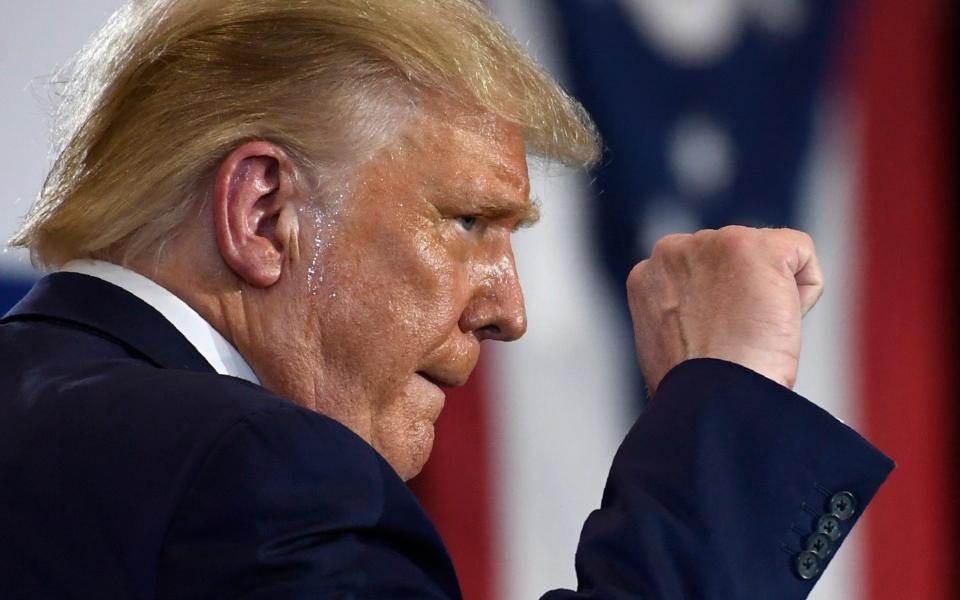 Donald Trump pumps his fist at an event in Ohio shortly before issuing his ban on two Chinese social media giants - Susan Walsh/AP