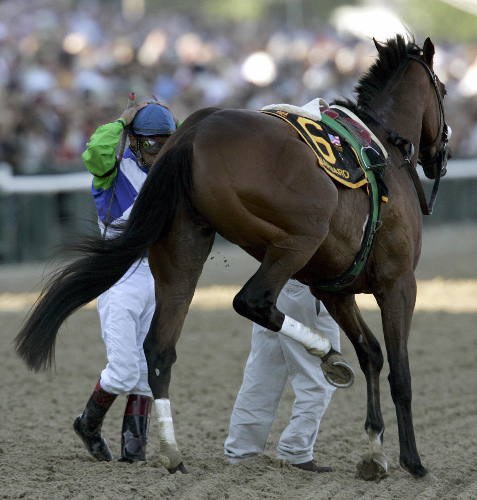 <p>Kentucky Derby winner Barbaro broke&nbsp;his leg&nbsp;at&nbsp;the first turn of&nbsp;the Preakness Stakes in May 2006. Despite surgery and months of treatment, complications led to the horse being euthanized in January 2007.</p>