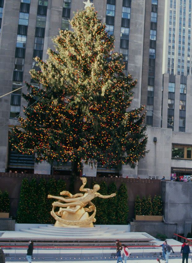 <p>Liza Minnelli hosted the lighting ceremony for the tree, which was delivered from Connecticut. </p>