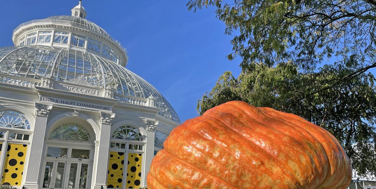 Photo credit: Marlon Co, courtesy of The New York Botanical Garden