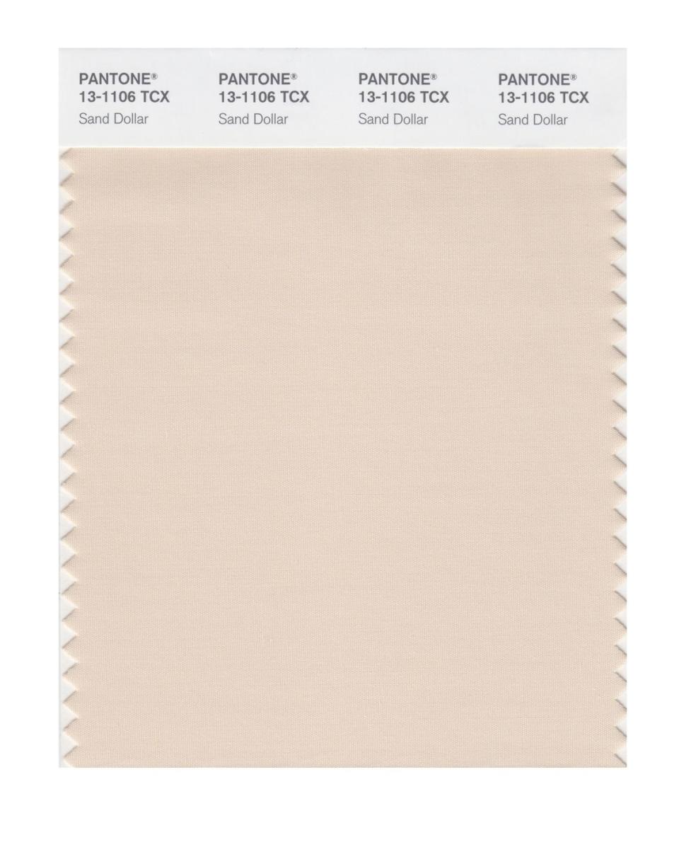 <p>Natural and organic, Sand Dollar – considered to express concerns about the 2006 economy – is a warm shade that relaxes and soothes nerves. It is also reminiscent of the desert and soft sandy beaches. </p>