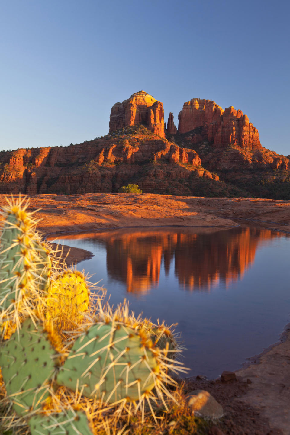 Cathedral rock reflection at sunset.