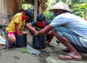 Pupils and their father plant chilies in Magelang