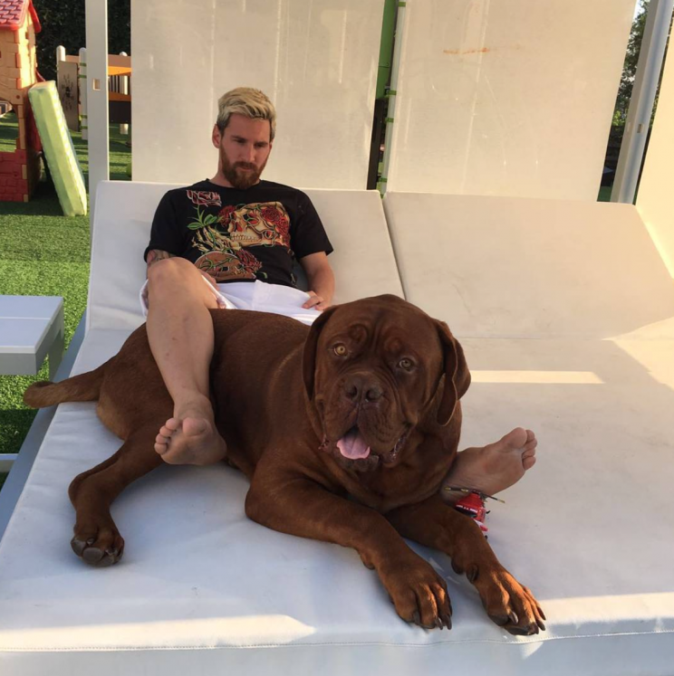 Messis Hund ist größer als er (Bild: Instagram/leomessi)