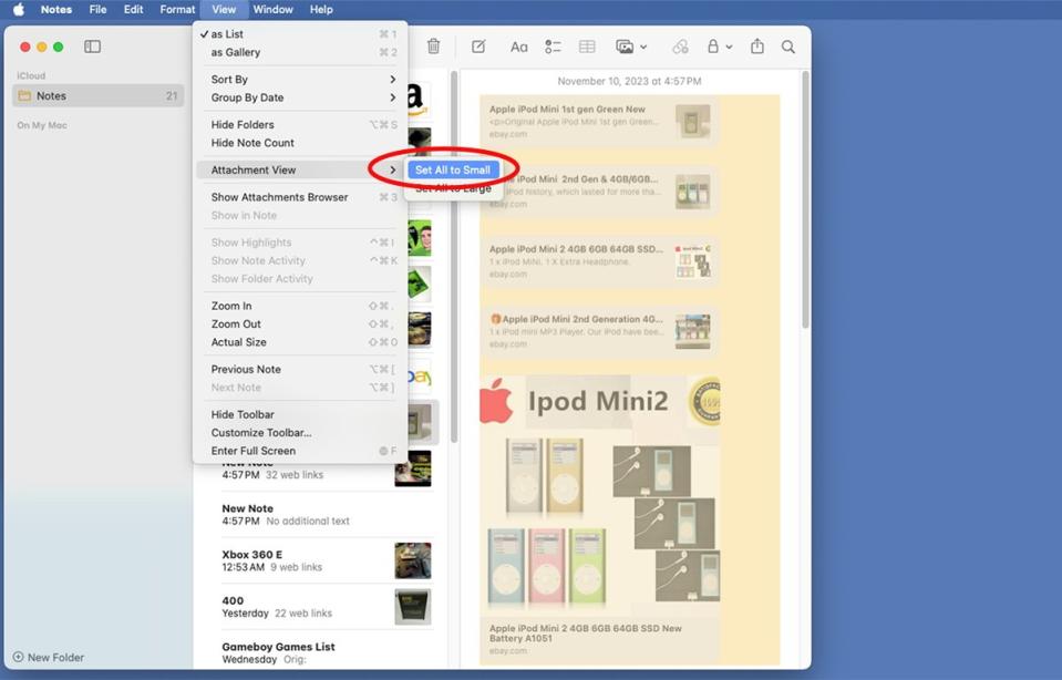 Utilice el submenú Vista de archivos adjuntos para establecer el tamaño de todas las notas adjuntas en un panel de Notas.