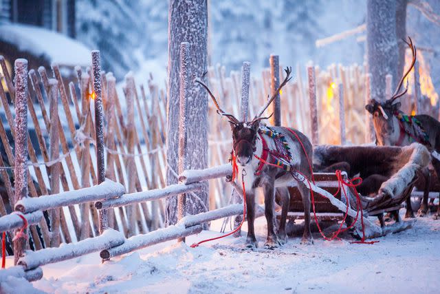 <p>Andrey-Kobylko / Getty Images</p>