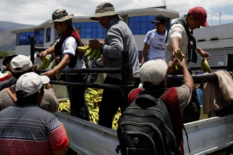 Men hand out bananas to their fellow coca farmers and supporters of Bolivia's ousted President Evo Morales as they stage a blockade of an entrance to Sacaba