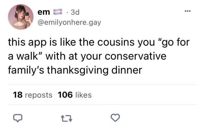 A skeet from Bluesky user @emilyonhere.gay"this app is like the cousins you 'go for a walk' with at your conservative family's thanksgiving dinner"