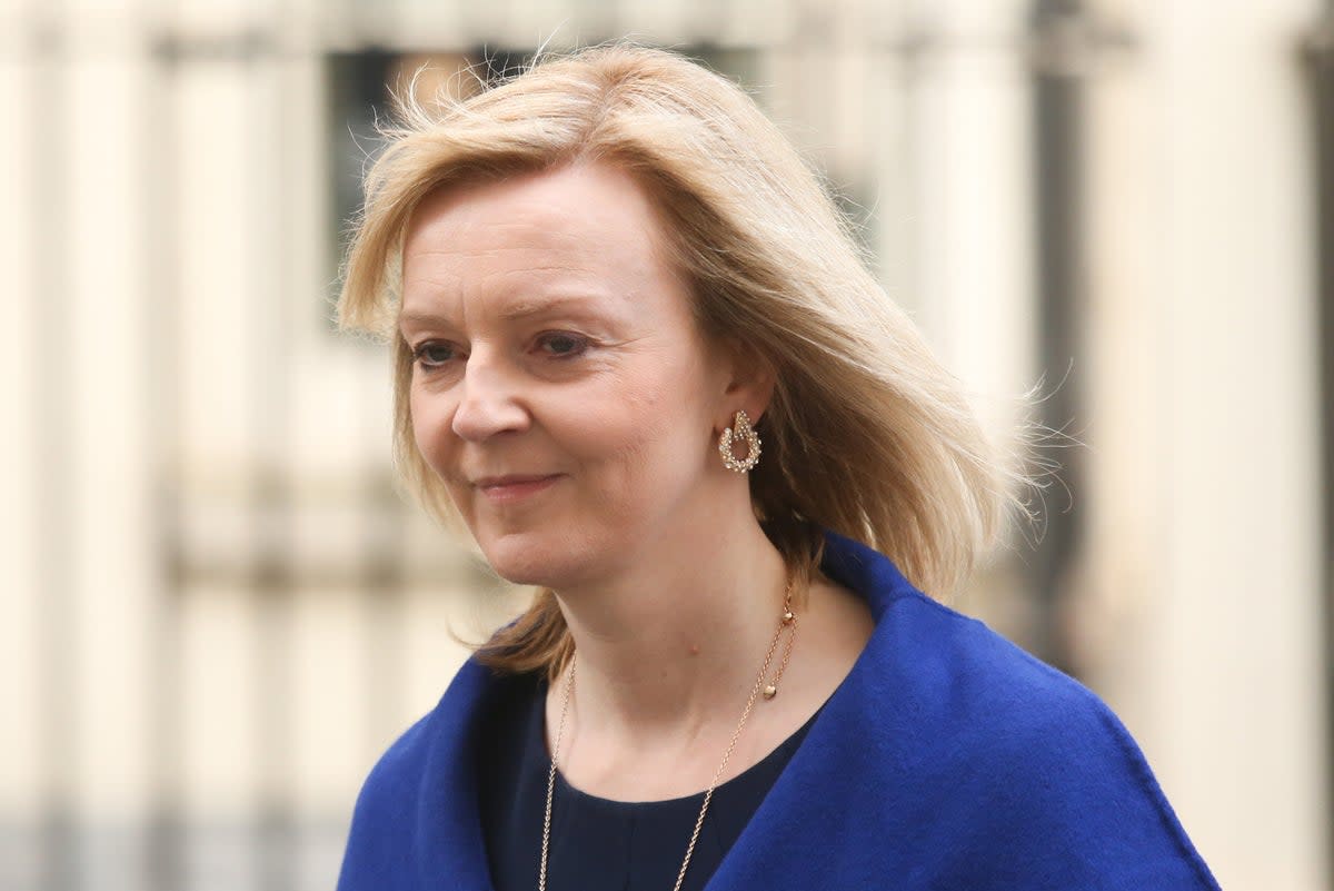 Foreign Secretary Liz Truss (James Manning/PA) (PA Wire)