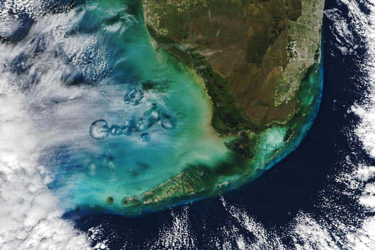 Ein Satellit der Nasa hat diese Lochwolken über dem Golf von Mexiko dokumentiert. (Foto: Nasa Earth Observatory)