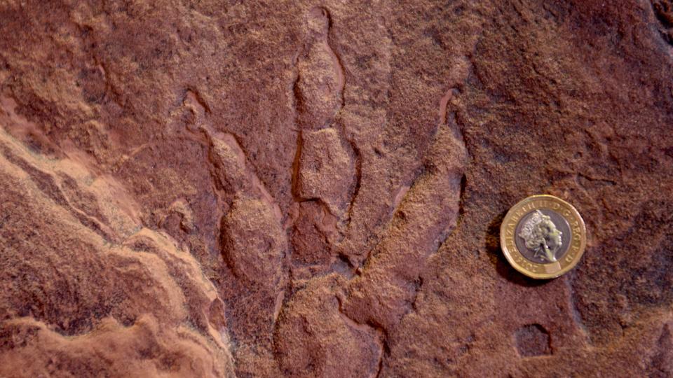 The fossil footprint discovered at Bendrick's Bay