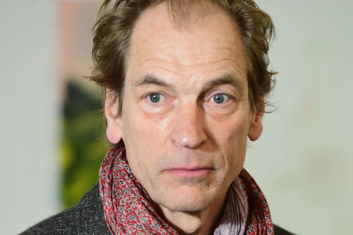 Actor Julian Sands   (PA Archive)