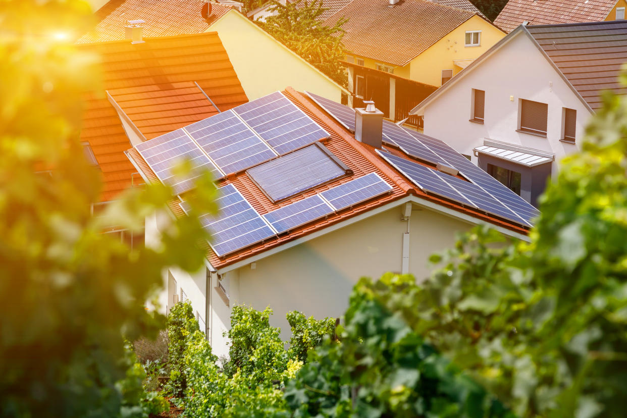 Solar panels on the tiled roof of the building in the sun. Top view through grape leaves. Selective focus. Blur