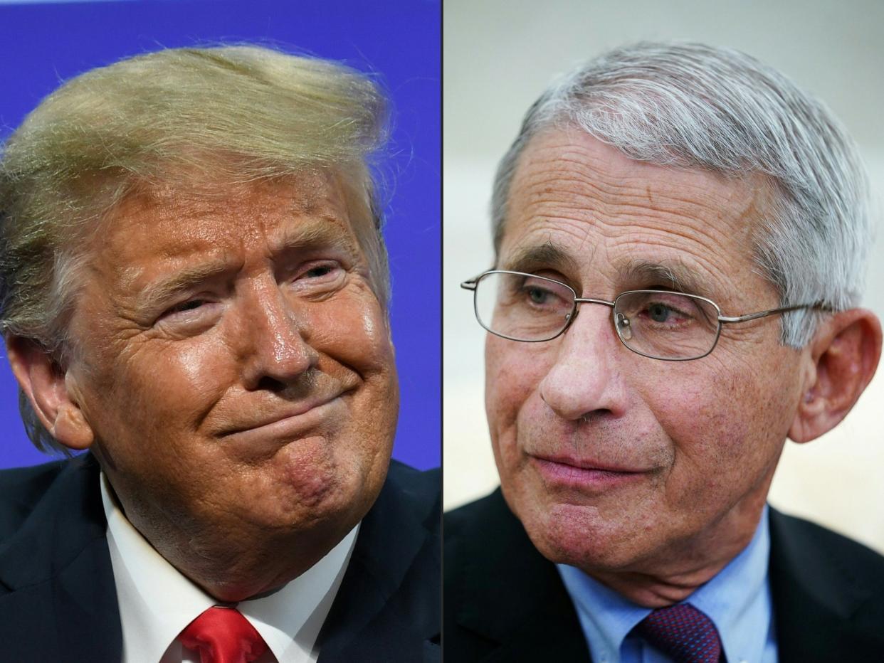 Donald Trump's White House has been leaking opposition research on Anthony Fauci: AFP via Getty Images