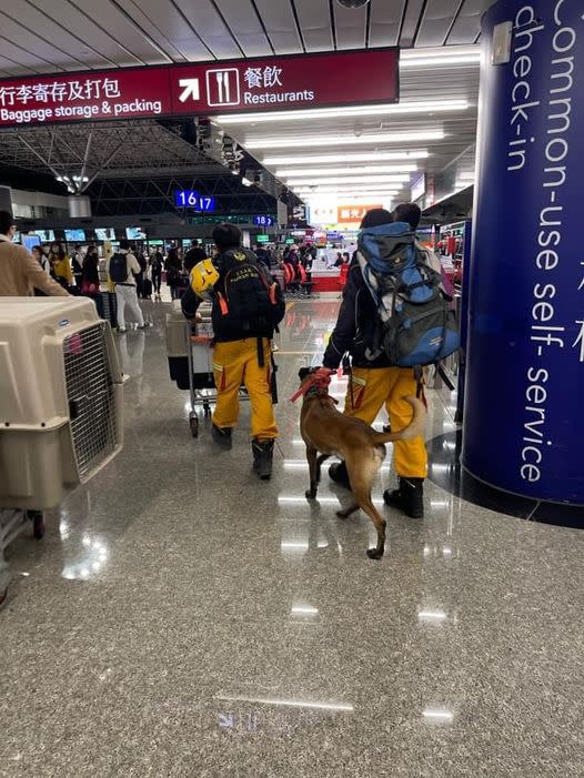 台灣搜救犬抵達土耳其！出發前「咬雞腿」萌照曝光　背後含意藏玄機