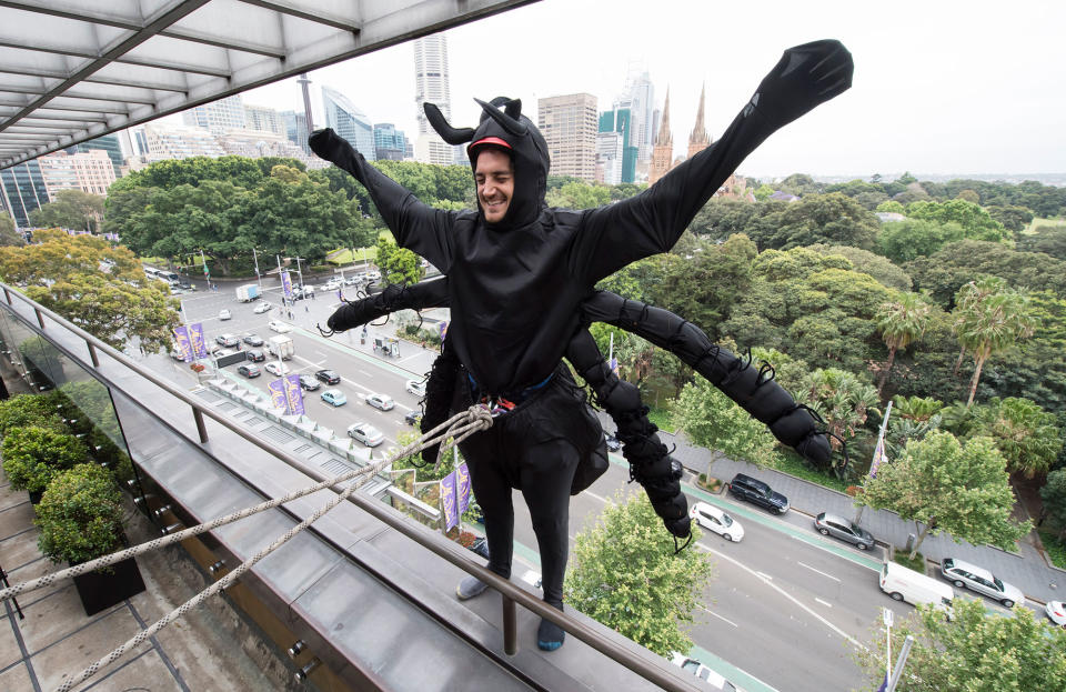 Abseiling spider in Sydney, Australia