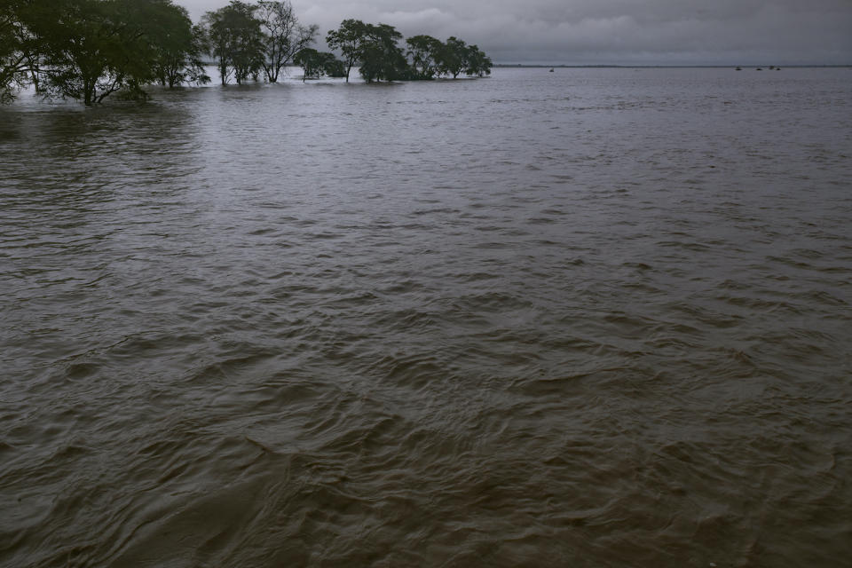 Mozambique/Piotr Naskrecki/Harvard University and Gorongosa National Park/Submitted