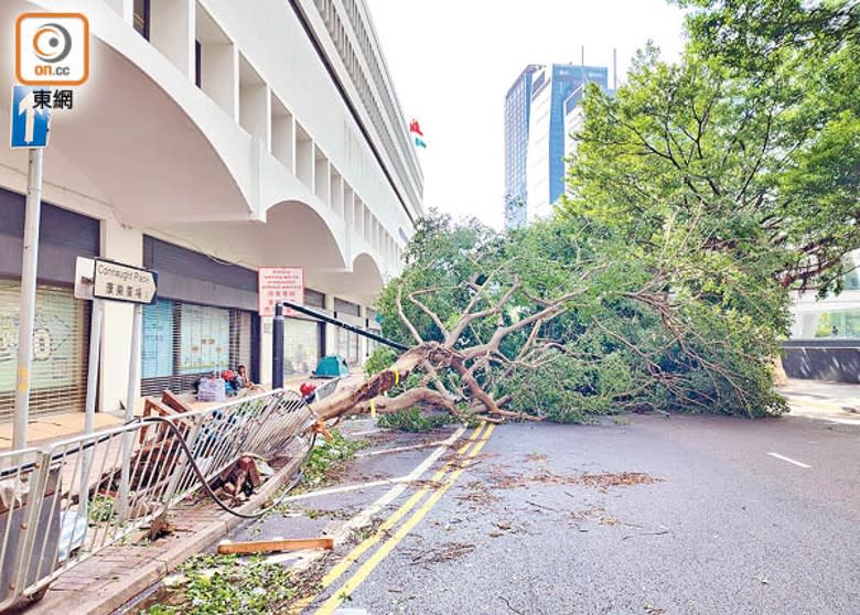 中環：康樂廣場有塌下的大樹阻路。（張開裕攝）