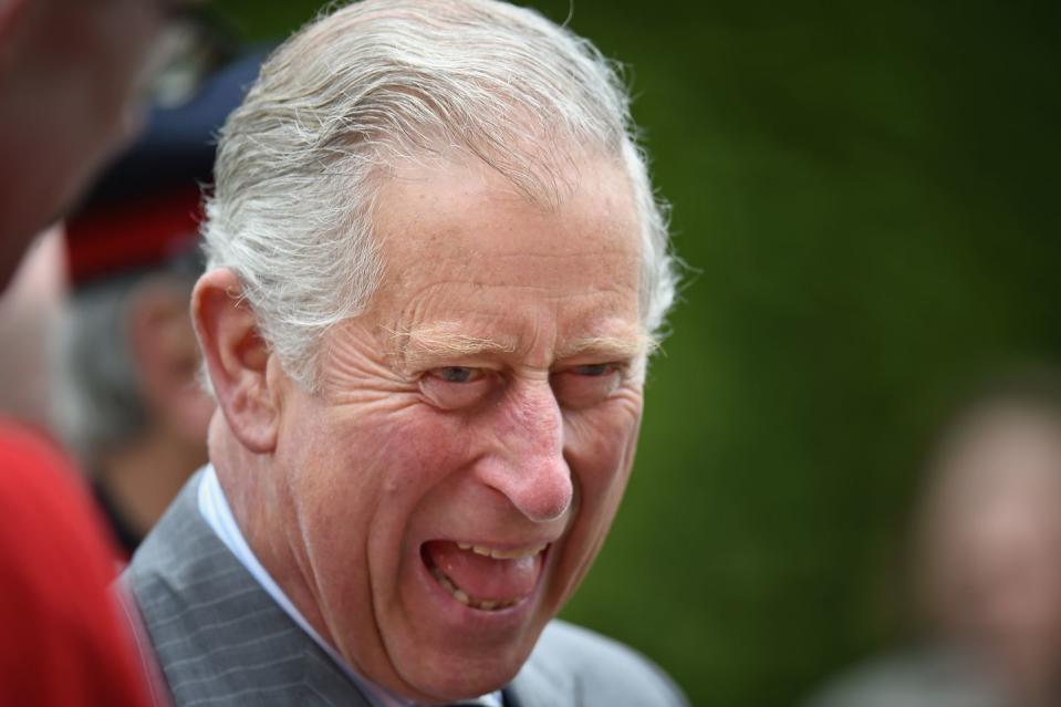 <p>Wow, someone <em>really</em> got the <a href="https://www.goodhousekeeping.com/life/a22749353/prince-charles-young-camilla-diana/" rel="nofollow noopener" target="_blank" data-ylk="slk:Prince of Wales;elm:context_link;itc:0;sec:content-canvas" class="link ">Prince of Wales</a> good while he visited Mount Stewart of Northern Ireland in 2015. Was it a knock-knock joke? A clever jab at <a href="https://www.goodhousekeeping.com/beauty/fashion/a22037654/prince-charles-signet-ring-camilla-parker-bowles/" rel="nofollow noopener" target="_blank" data-ylk="slk:his signet ring;elm:context_link;itc:0;sec:content-canvas" class="link ">his signet ring</a>? The world will never know, but at least this brilliant photo will forever exist.</p>