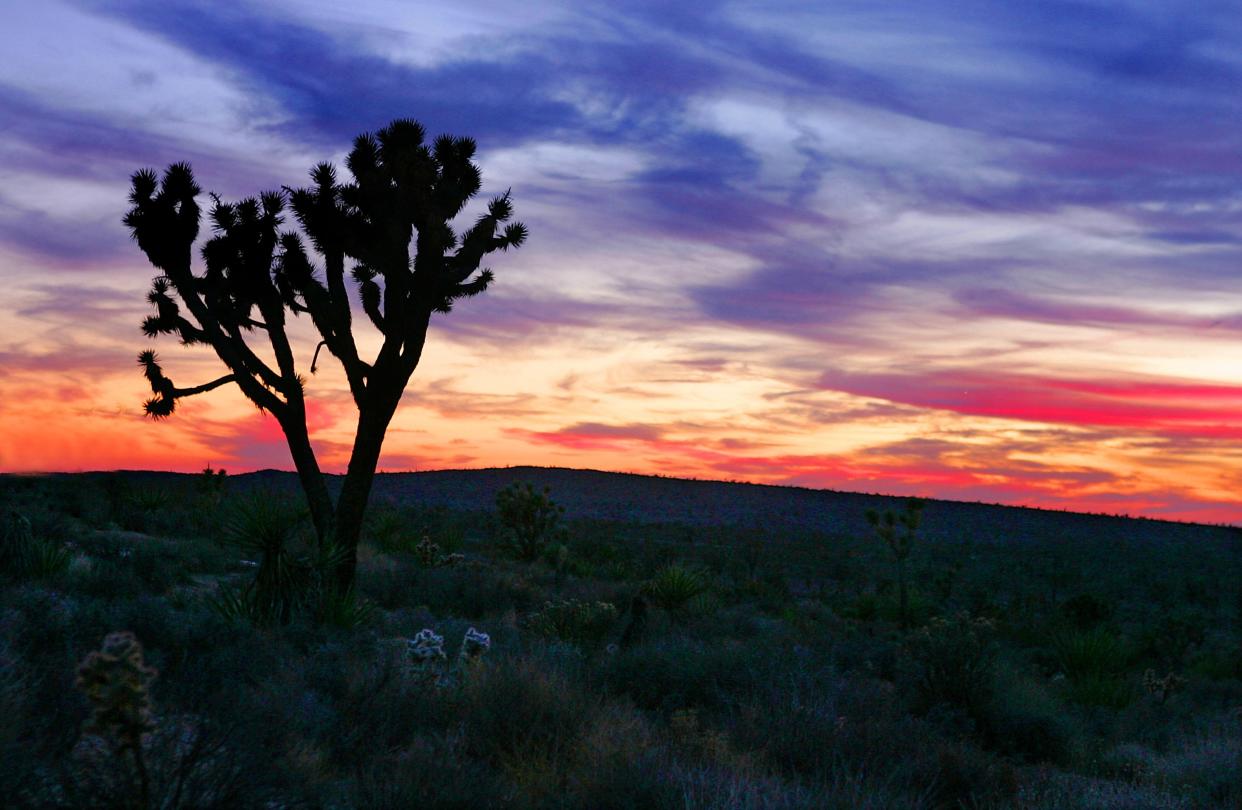 <h5>Search for biological mother leads to bodies buried in San Bernardino County desert and link to Mississippi killer</h5> (Photo by Carlo Allegri/Getty Images. File. )