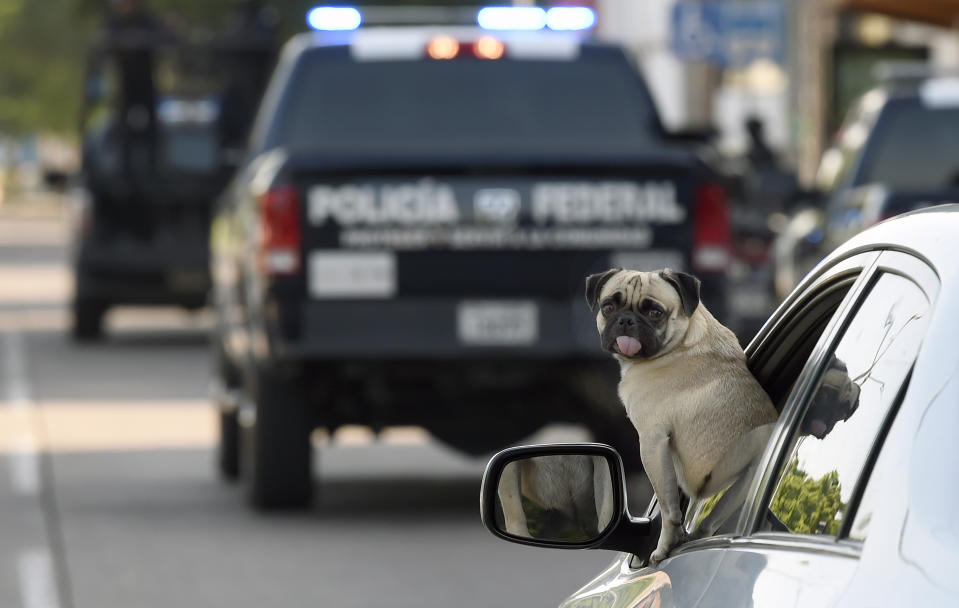 Foto: ALFREDO ESTRELLA/AFP via Getty Images