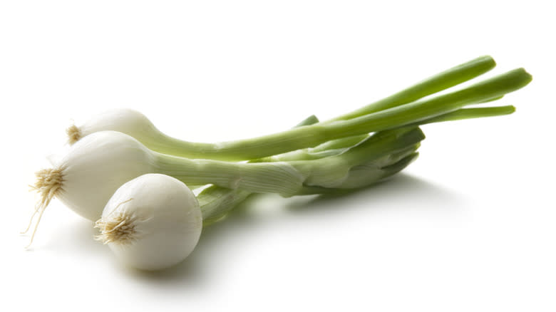 Bunch of spring onions on white