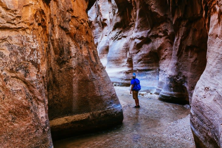 Zion narrows hike