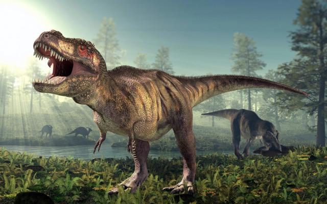 In All of Time, 2.5 Billion Tyrannosaurus Rexes Have Roamed Earth, Smart  News