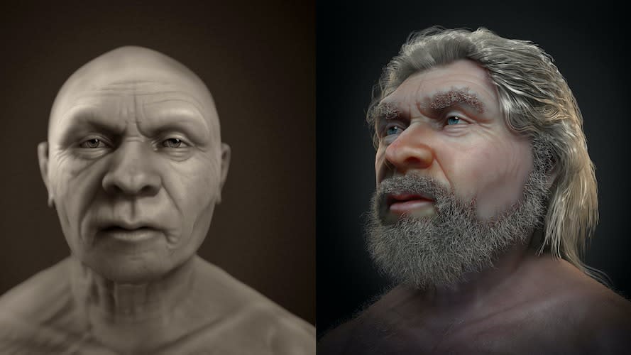  Side-by-side facial approximations of a Neanderthal. . 