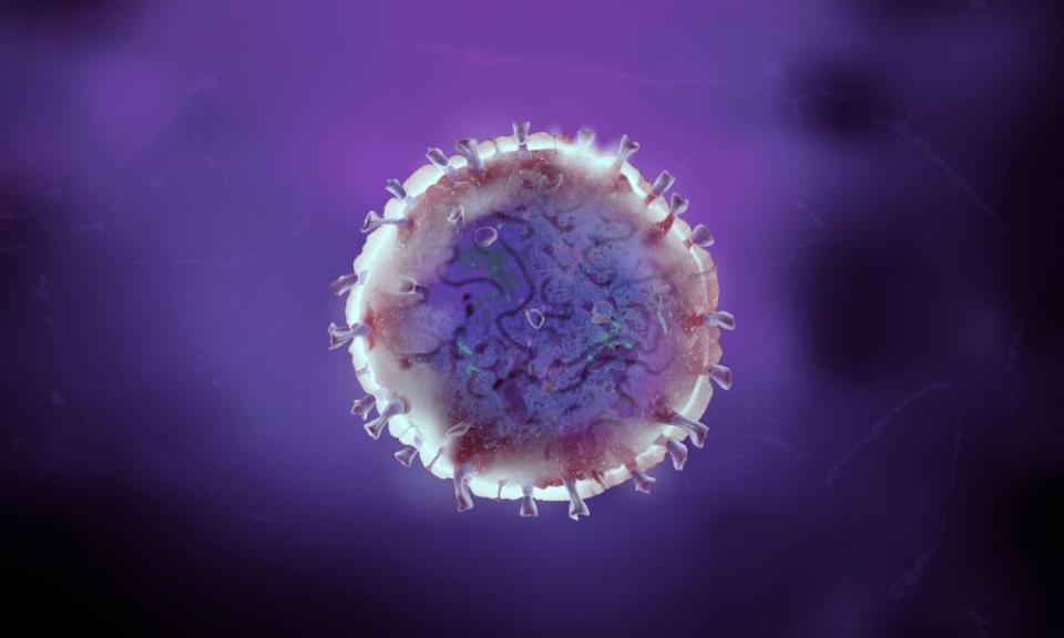 Coronavirus DNA