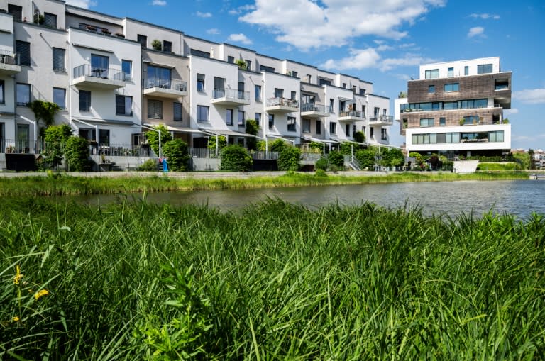 Las plantas del exterior de la piscina de retención del agua de lluvia, basado en el concepto de "ciudad esponja", en el complejo residencial Barrio 52 Grados Norte, en el distrito berlinés de Grunau, en una imagen del 17 de mayo de 2024 (John Macdougall)