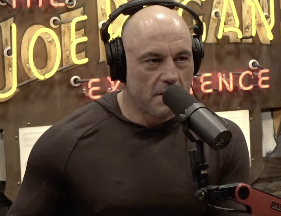 Joe Rogan told Tulsi Gabbard that right-wing pundits get a much tougher reception on CNN and MSNBC than liberals do on Fox News (The Joe Rogan Experience)