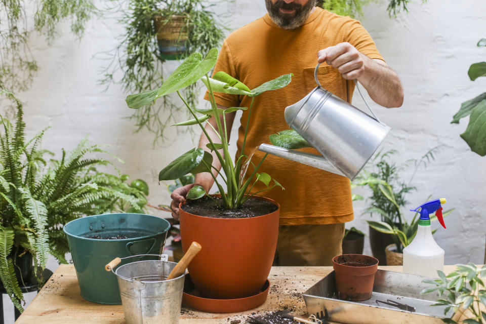 Typically, the problem isn&rsquo;t how much water you use to water a plant, but it&rsquo;s watering something too frequently. (Photo: Cavan Images via Getty Images)