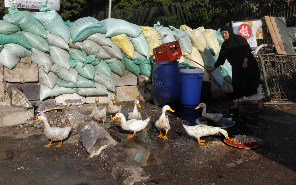 An Egyptian woman feeds her ducks in front of a barrier recently set up by supporters of Egypt's ousted President Mohammed Morsi in their camp in Giza, southwest of Cairo, Egypt, Thursday, Aug. 1, 2013. (AP Photo/Amr Nabil)