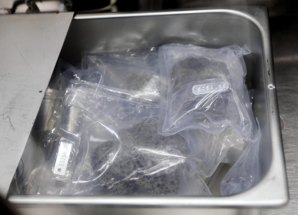 A stainless steel bin is opened to show individually tagged and sealed lunar samples collected during Apollo 16 inside a pressurized nitrogen-filled case holding the samples from that mission in the lunar lab of the NASA Johnson Space Center Monday, June 17, 2019, in Houston. (AP Photo/Michael Wyke)