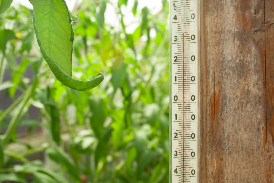 Thermometer in garden. (Getty Images)