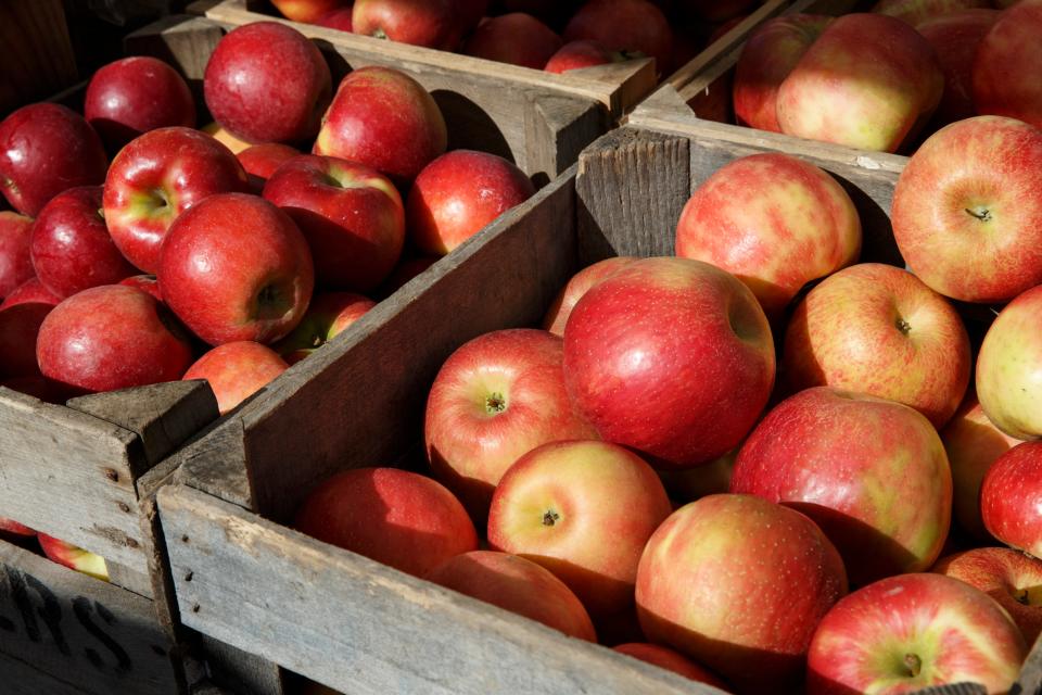 Everything apple can be found at the Nappanee Apple Festival Sept. 14-17 and at the Four Flags Area Apple Festival Sept. 28-Oct. 1.