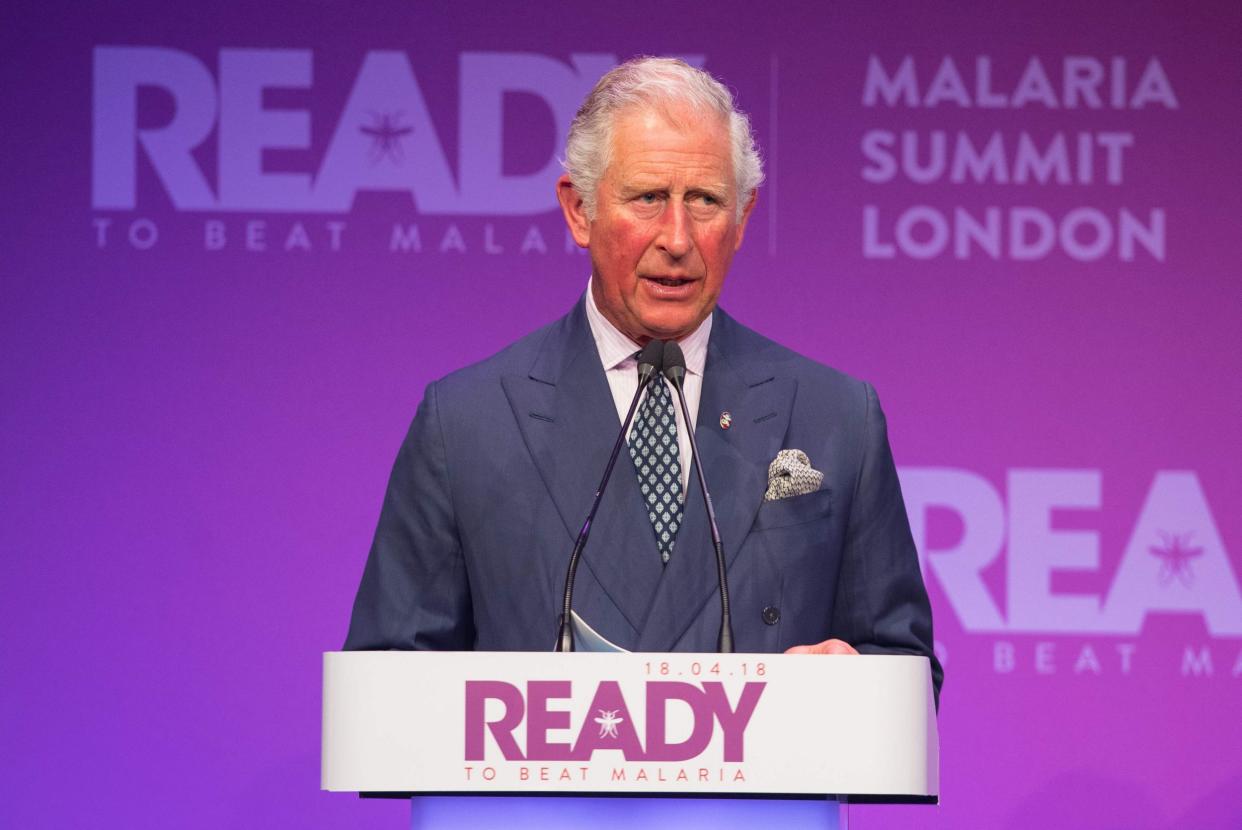 Prince Charles speaks at the Malaria summit: AFP/Getty Images
