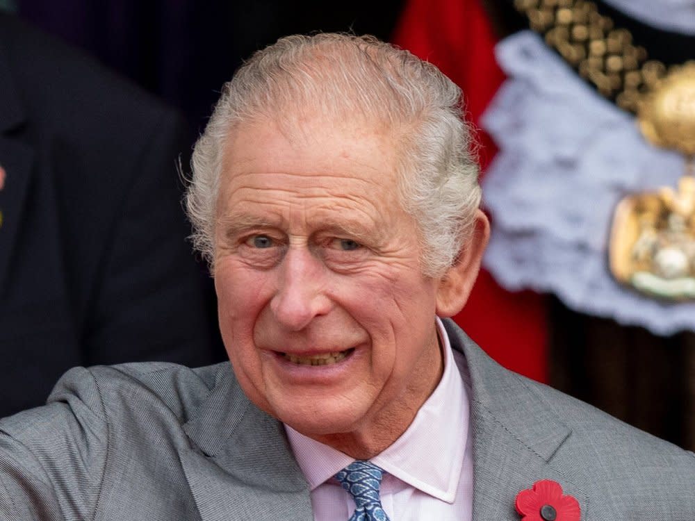 König Charles III. ist schon lange ein Feind der Stopfleber. (Bild: imago/PRiME Media Images)