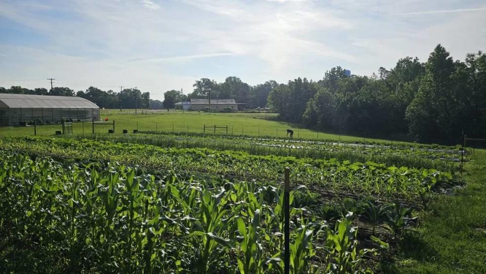 The Sipp Culture Community Farm in Uitca, used for the group’s Small Farm Apprentice Program.