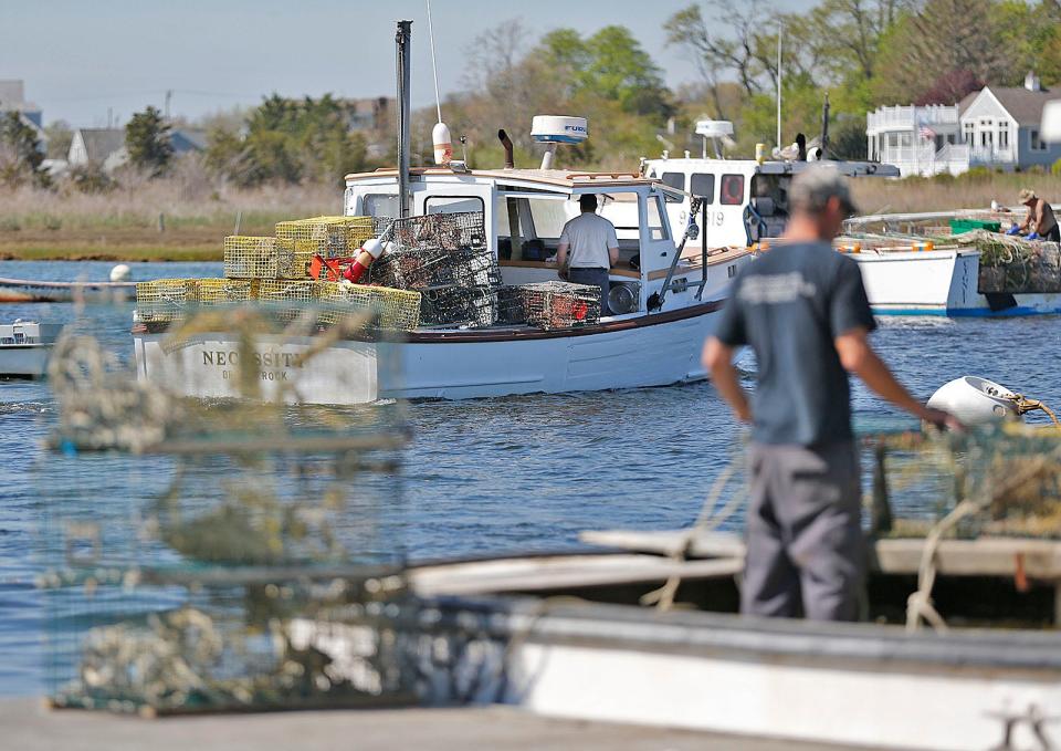 Commercial lobstermen in Marshfield's Green Harbor dropped their traps in the water this week after a five-month ban on lobstering in state waters to protect right whales during winter migration. The docks were bustling on Monday, May 16, 2022.